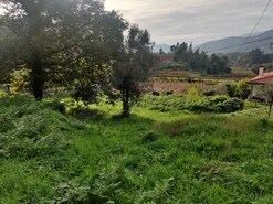 Terreno R�stico - Brandara, Ponte de Lima, Viana do Castelo