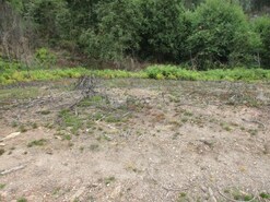 Terreno R�stico - Fornelos, Ponte de Lima, Viana do Castelo