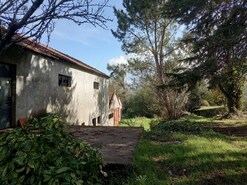 Terreno R�stico - Lanheses, Viana do Castelo, Viana do Castelo
