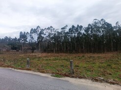 Terreno Rústico - Alheira, Barcelos, Braga