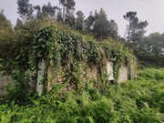 Terreno R�stico - Brandara, Ponte de Lima, Viana do Castelo - Miniatura: 3/4