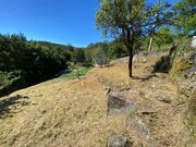Moradia T3 - Cunha, Paredes de Coura, Viana do Castelo - Miniatura: 8/9