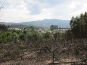Terreno R�stico - Fornelos, Ponte de Lima, Viana do Castelo - Miniatura: 5/9