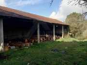 Terreno R�stico - Lanheses, Viana do Castelo, Viana do Castelo - Miniatura: 2/7