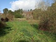 Terreno R�stico - Lanheses, Viana do Castelo, Viana do Castelo - Miniatura: 5/7