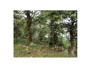 Terreno R�stico - Castanheira, Paredes de Coura, Viana do Castelo - Miniatura: 1/4