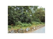 Terreno R�stico - Castanheira, Paredes de Coura, Viana do Castelo - Miniatura: 2/4
