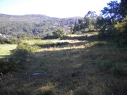 Terreno R�stico - Labruja, Ponte de Lima, Viana do Castelo - Miniatura: 5/5