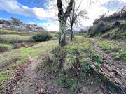 Terreno R�stico - Paredes de Coura, Paredes de Coura, Viana do Castelo - Miniatura: 3/9