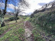 Terreno R�stico - Paredes de Coura, Paredes de Coura, Viana do Castelo - Miniatura: 7/9