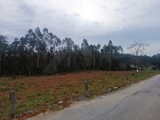 Terreno Rstico - Alheira, Barcelos, Braga - Miniatura: 1/4