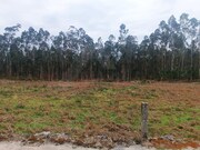 Terreno Rstico - Alheira, Barcelos, Braga - Miniatura: 4/4