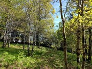 Terreno R�stico - Formariz e Ferreira, Paredes de Coura, Viana do Castelo - Miniatura: 7/9