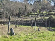 Outros - �zere, Arcos de Valdevez, Viana do Castelo - Miniatura: 4/9
