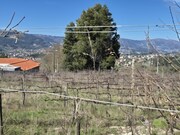 Outros - �zere, Arcos de Valdevez, Viana do Castelo - Miniatura: 6/9
