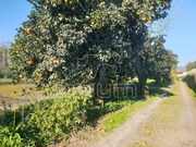 Quinta > T6 - Vila Franca, Viana do Castelo, Viana do Castelo - Miniatura: 4/9