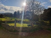 Quinta > T6 - Vila Franca, Viana do Castelo, Viana do Castelo - Miniatura: 5/9