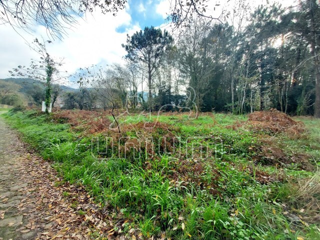 Terreno Rstico - Afife, Viana do Castelo, Viana do Castelo - Imagem grande