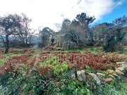 Terreno Rstico - Afife, Viana do Castelo, Viana do Castelo - Miniatura: 3/5