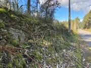 Terreno Rstico - Caminha, Caminha, Viana do Castelo - Miniatura: 4/8