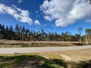 Terreno Rstico - Caminha, Caminha, Viana do Castelo - Miniatura: 5/8