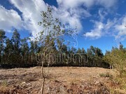 Terreno Rstico - Caminha, Caminha, Viana do Castelo - Miniatura: 6/8