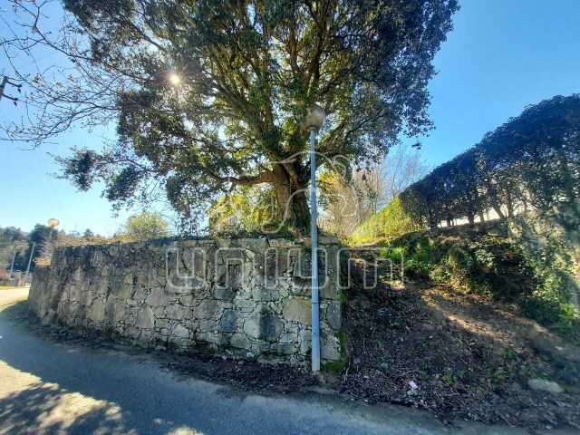 Terreno Rústico - Venade, Caminha, Viana do Castelo - Imagem grande