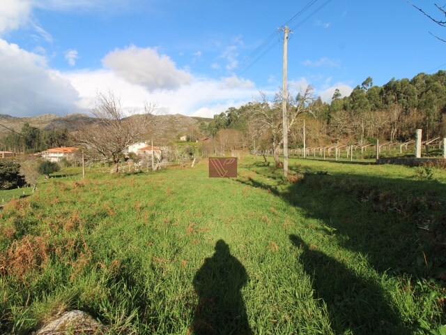 Terreno Rstico - Loivo, Vila Nova de Cerveira, Viana do Castelo - Imagem grande