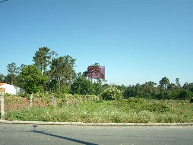 Terreno Rstico - So Pedro da Torre, Valena, Viana do Castelo - Imagem grande