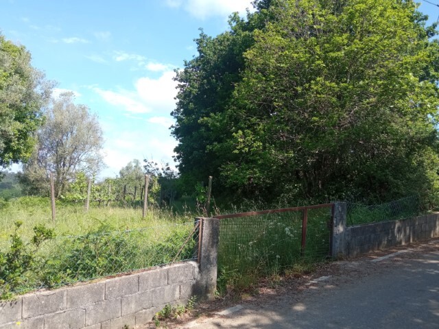 Terreno Rstico - Cornes, Vila Nova de Cerveira, Viana do Castelo - Imagem grande