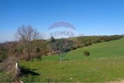 Terreno Rstico T0 - Fornos de Pinhal, Valpaos, Vila Real - Miniatura: 1/2