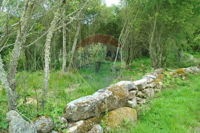 Terreno Rstico - Tinhela e Alvarelhos, Valpaos, Vila Real - Imagem grande