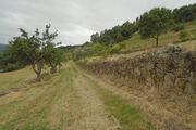 Quinta - Loivos, Chaves, Vila Real - Miniatura: 8/9