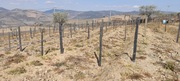 Terreno Urbano T0 - Soutelo do Douro, So Joo da Pesqueira, Viseu - Miniatura: 1/12