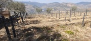 Terreno Urbano T0 - Soutelo do Douro, So Joo da Pesqueira, Viseu - Miniatura: 2/12