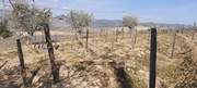 Terreno Urbano T0 - Soutelo do Douro, So Joo da Pesqueira, Viseu - Miniatura: 4/12