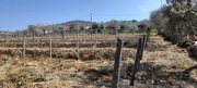 Terreno Urbano T0 - Soutelo do Douro, So Joo da Pesqueira, Viseu - Miniatura: 6/12