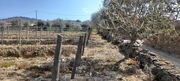 Terreno Urbano T0 - Soutelo do Douro, So Joo da Pesqueira, Viseu - Miniatura: 7/12