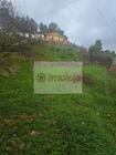 Ruina T0 - Alvelos, Lamego, Viseu - Miniatura: 5/7