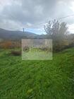 Ruina T0 - Alvelos, Lamego, Viseu - Miniatura: 6/7