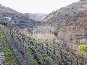 Quinta T0 - Lamego, Lamego, Viseu - Miniatura: 1/4