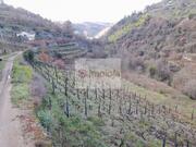 Quinta T0 - Lamego, Lamego, Viseu - Miniatura: 2/4