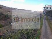 Quinta T0 - Lamego, Lamego, Viseu - Miniatura: 4/4