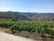Terreno Urbano T0 - Soutelo do Douro, S�o Jo�o da Pesqueira, Viseu - Miniatura: 15/18