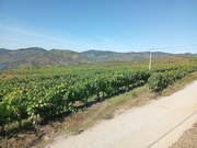 Terreno Urbano T0 - Soutelo do Douro, S�o Jo�o da Pesqueira, Viseu - Miniatura: 16/18