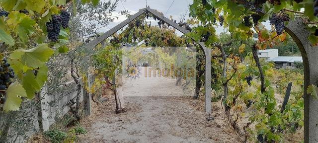 Terreno R�stico T0 - Lamego, Lamego, Viseu - Imagem grande