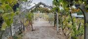 Terreno R�stico T0 - Lamego, Lamego, Viseu