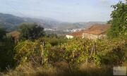Ruina T0 - Cambres, Lamego, Viseu - Miniatura: 2/8