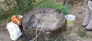 Terreno R�stico T0 - Lamego, Lamego, Viseu - Miniatura: 2/7
