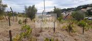 Terreno R�stico T0 - Lamego, Lamego, Viseu - Miniatura: 4/7